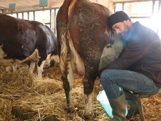 Abitazione e stalla della cascina Campasotto