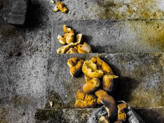 "Il pane quotidiano"