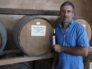 Anna e Fabio raccolgono le susine gialle