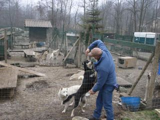 Papà Attilio con i cani
