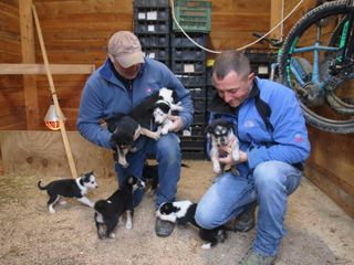 Attilio e Fabrizio con i cuccioli di Alaskan Husky