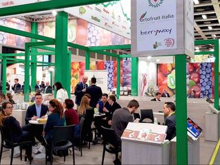 Berlino: l'affollato stand del Piemonte a Fruit Logistica