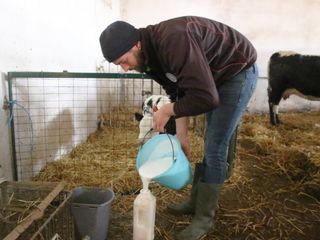 Sul trattore dell'azienda