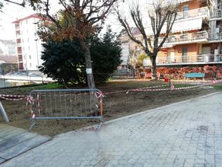 Piantumazioni in via Crimea