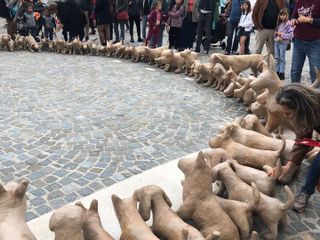 L'invasione dei cani di cartapesta ad Alba