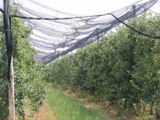 Le reti di protezione antigrandine