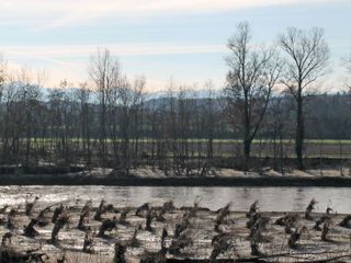 Altra immagine di un'alluvione