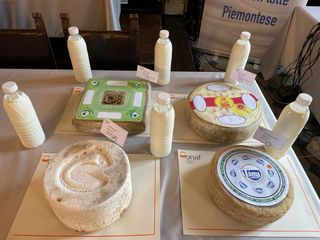 I 4 formaggi Dop del Piemonte I 4 formaggi Dop del Piemonte