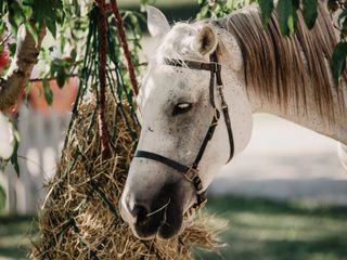 Nella fotogallery di Barbara Guazzone Jessica Riviera e la cavalla Fatima al loro passaggio a Cascina Carlotta