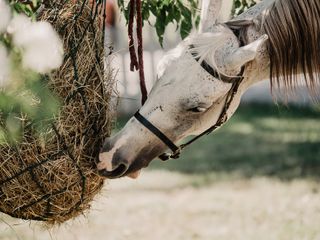 Nella fotogallery di Barbara Guazzone Jessica Riviera e la cavalla Fatima al loro passaggio a Cascina Carlotta
