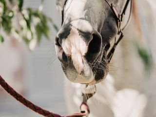 Nella fotogallery di Barbara Guazzone Jessica Riviera e la cavalla Fatima al loro passaggio a Cascina Carlotta