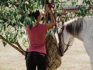 Nella fotogallery di Barbara Guazzone Jessica Riviera e la cavalla Fatima al loro passaggio a Cascina Carlotta