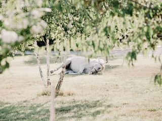 Nella fotogallery di Barbara Guazzone Jessica Riviera e la cavalla Fatima al loro passaggio a Cascina Carlotta