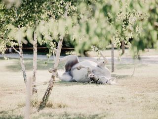 Nella fotogallery di Barbara Guazzone Jessica Riviera e la cavalla Fatima al loro passaggio a Cascina Carlotta