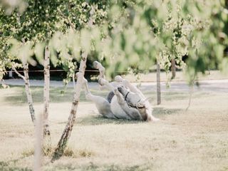 Nella fotogallery di Barbara Guazzone Jessica Riviera e la cavalla Fatima al loro passaggio a Cascina Carlotta