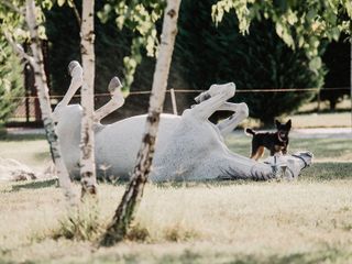 Nella fotogallery di Barbara Guazzone Jessica Riviera e la cavalla Fatima al loro passaggio a Cascina Carlotta