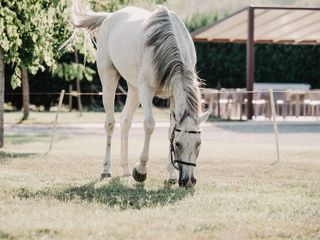 Nella fotogallery di Barbara Guazzone Jessica Riviera e la cavalla Fatima al loro passaggio a Cascina Carlotta