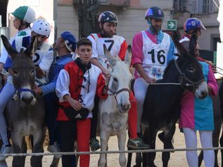 Servizio Mauro Gallo Foto, Alba