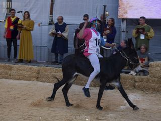 Servizio Mauro Gallo Foto, Alba