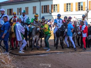 Ph. Mauro Gallo Alba