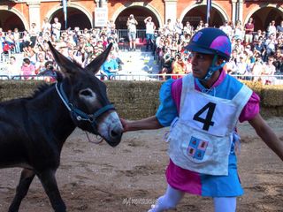 Ph. Mauro Gallo Alba