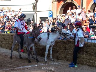 Ph. Mauro Gallo Alba