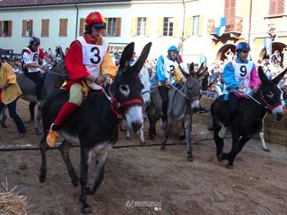 Ph. Mauro Gallo Alba