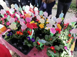 Ben 800 i vasetti decorati realizzati e venduti dai bimbi della Primaria Sacco a favore di AMA.le