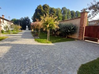 Il giardino degli ulivi piantato in viale Reviglio per commemorare le unioni