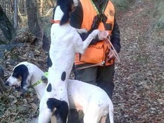 Chiara Petrini, presidente Atc CN5