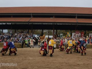 Fotogallery di Mauro Gallo Fotografo, Alba Fotogallery di Mauro Gallo Fotografo, Alba