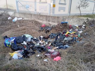 Le foto realizzate da Margherita Alvise presso il cimitero cittadino