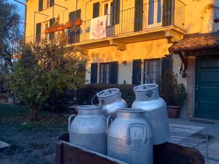 I formaggi da Salvare I formaggi da Salvare