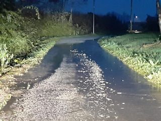 Carrù (foto Fabio Sciolla)