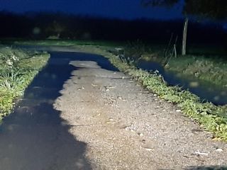 Carrù (foto Fabio Sciolla)