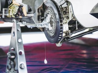 Fotogallery di Barbara Guazzone