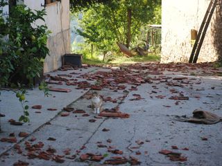 Foto Beppe Fenocchio e Secco Davj Foto Beppe Fenocchio e Secco Davj