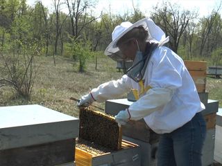 Lidia Agnello e Samuele Colotta, presidente e tecnico Aspromiele
