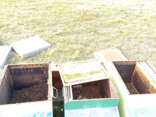 I due apicoltori Nertil Mehmeti e Idlir Aliaj I due apicoltori Nertil Mehmeti e Idlir Aliaj