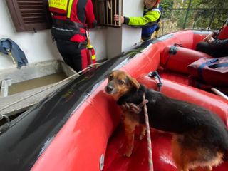 Il Po esondato a Cardè