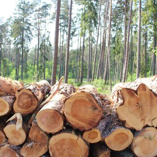 Sanfront, ultimo appuntamento per Start/Artigianato su criteri e certificazioni ambientali Sanfront, ultimo appuntamento per Start/Artigianato su criteri e certificazioni ambientali