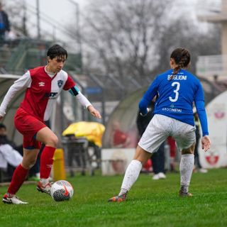 (copyright Susanna Gerbaudo)