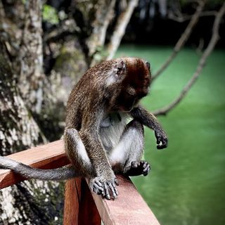 Palawan: dalla Casa di Carta alla Big Lagoon Palawan: dalla Casa di Carta alla Big Lagoon