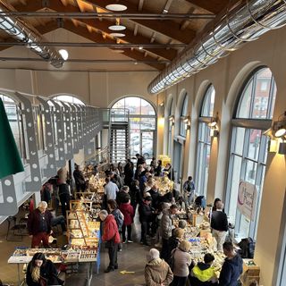 Torna "GeoBra": al Movicentro la mostra mercato di minerali, fossili e gemme