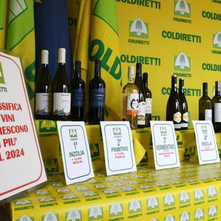 Classifica Coldiretti, Nebbiolo nella top 10 dei vini per crescita delle vendite in Italia: +8,9% nel 2024 Classifica Coldiretti, Nebbiolo nella top 10 dei vini per crescita delle vendite in Italia: +8,9% nel 2024