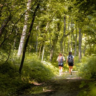 Cherasco, sul Sentiero del Bacio il terzo appuntamento dei “Walking Tours”