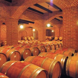 "La distillazione straordinaria può essere utile, ma serve un piano di rilancio del vino piemontese"