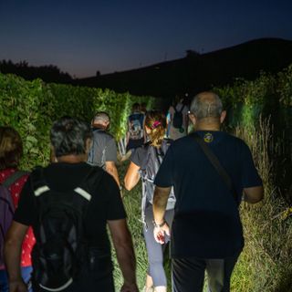 "DegustaNovello": 90 camminatori alla scoperta del paese langarolo e dei suoi prodotti "DegustaNovello": 90 camminatori alla scoperta del paese langarolo e dei suoi prodotti
