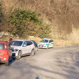 I veicoli coinvolti nel sinistro