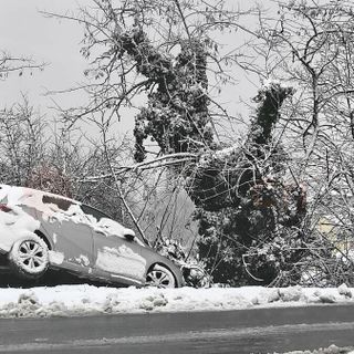 Un'auto fuori strada sulla Provinciale 50 tra Baraccone e Castagnito Un'auto fuori strada sulla Provinciale 50 tra Baraccone e Castagnito